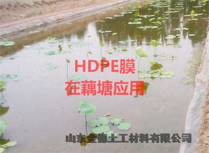 1.5mm厚HDPE膜 包头热老化性好土工膜应用广污水池黑膜
