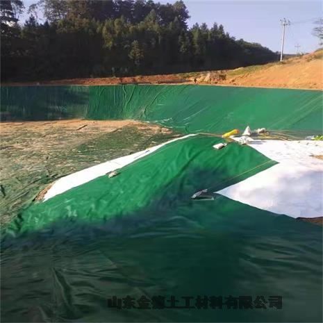 酒泉绿色氧化塘浮动膜 厚度均匀美标HDPE膜 抗腐能力强土工膜