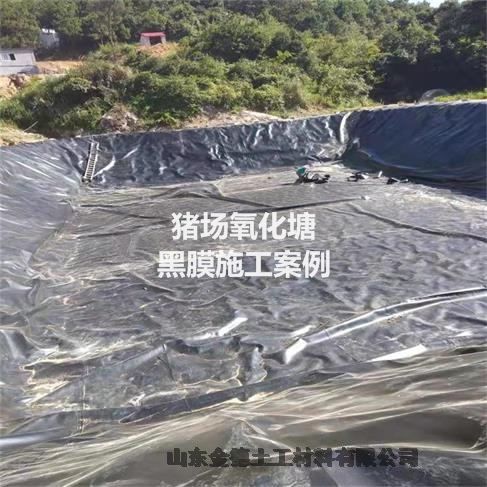 湘西污水库坝防渗用-HDPE膜2.5毫米-应变力强土工膜